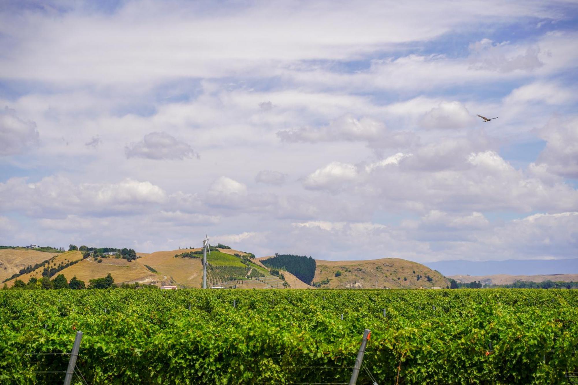Syrah Suite Unison Vineyard Fernhill Екстер'єр фото